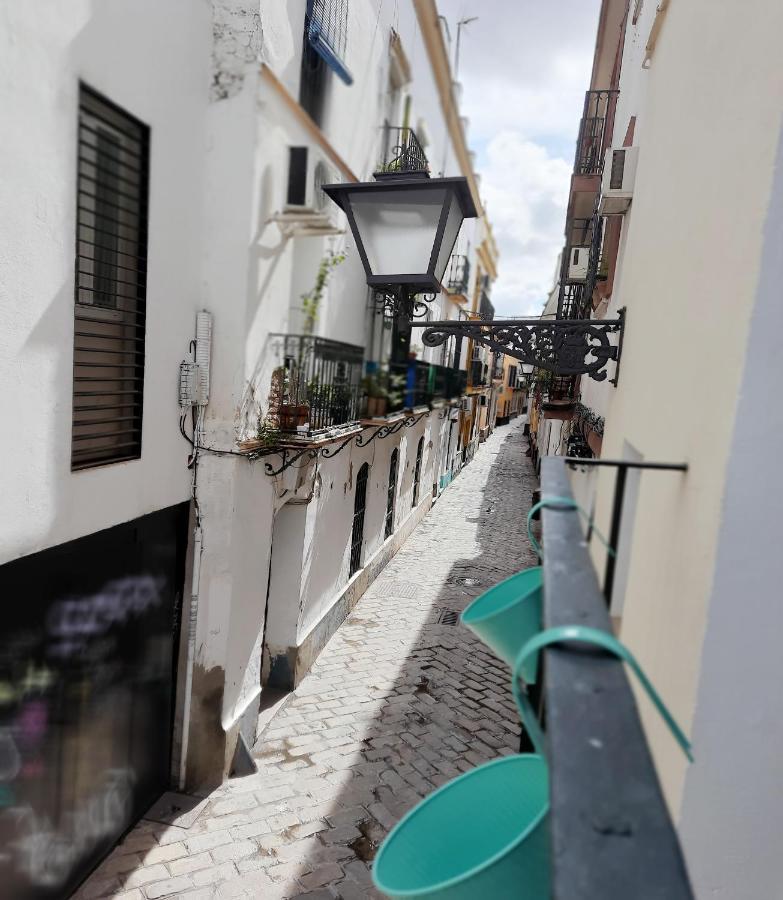 Lovely Center Apartments - Alameda Sunny Terrace Seville Ngoại thất bức ảnh